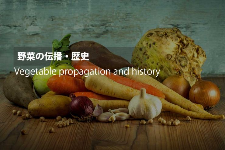 野菜の伝播・歴史